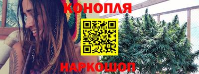 индика Моздок