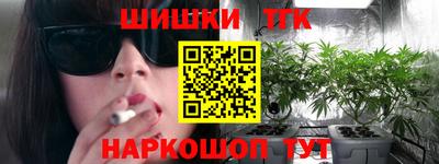 индика Моздок