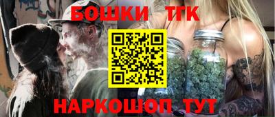 индика Моздок