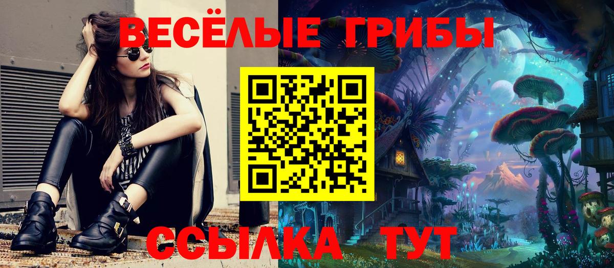 ЭКСТАЗИ  Каннабис  Старая Купавна  ГАШИШ  Меф кристаллы  COCAIN  Вход с VPN 