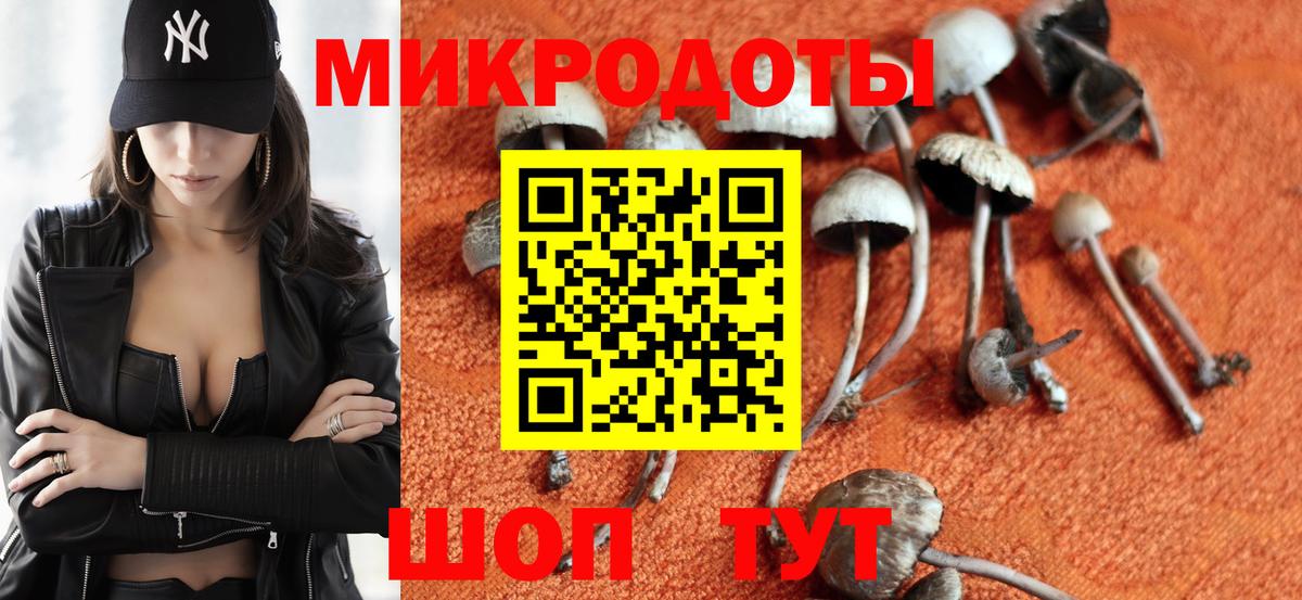 Старая Купавна  Галлюциногенные грибы мухоморы  Вход с VPN 